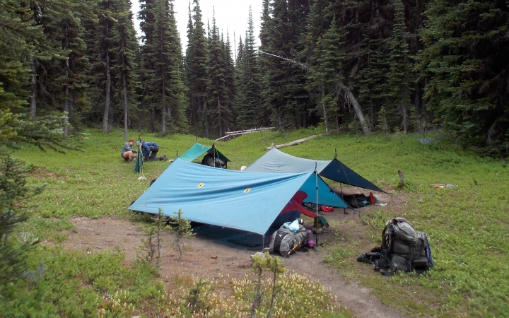 tents rest in a clearing of a wooded area